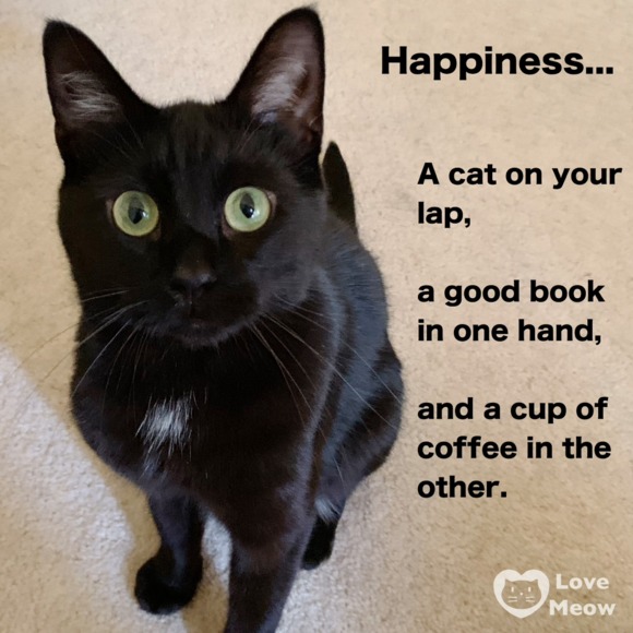 Meet your Posher, P - Picture 1 of 3